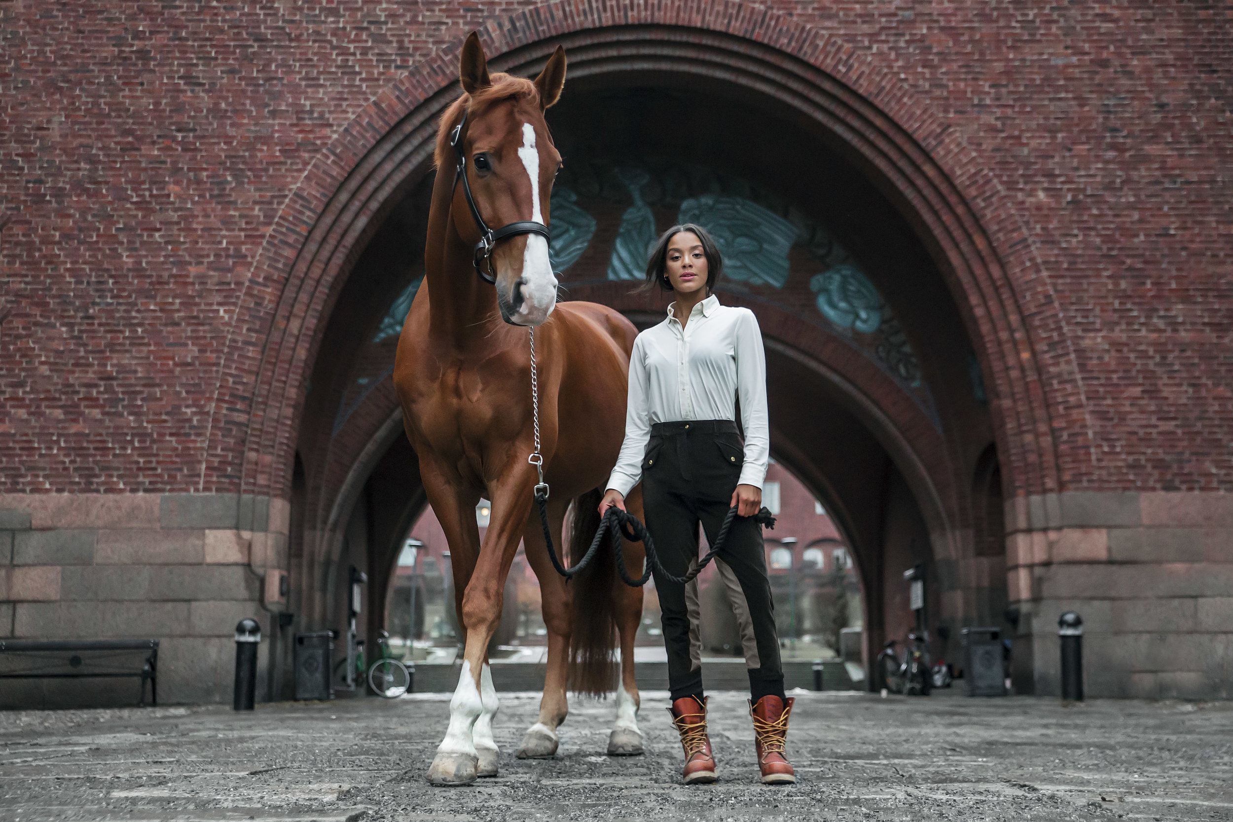 Dressage